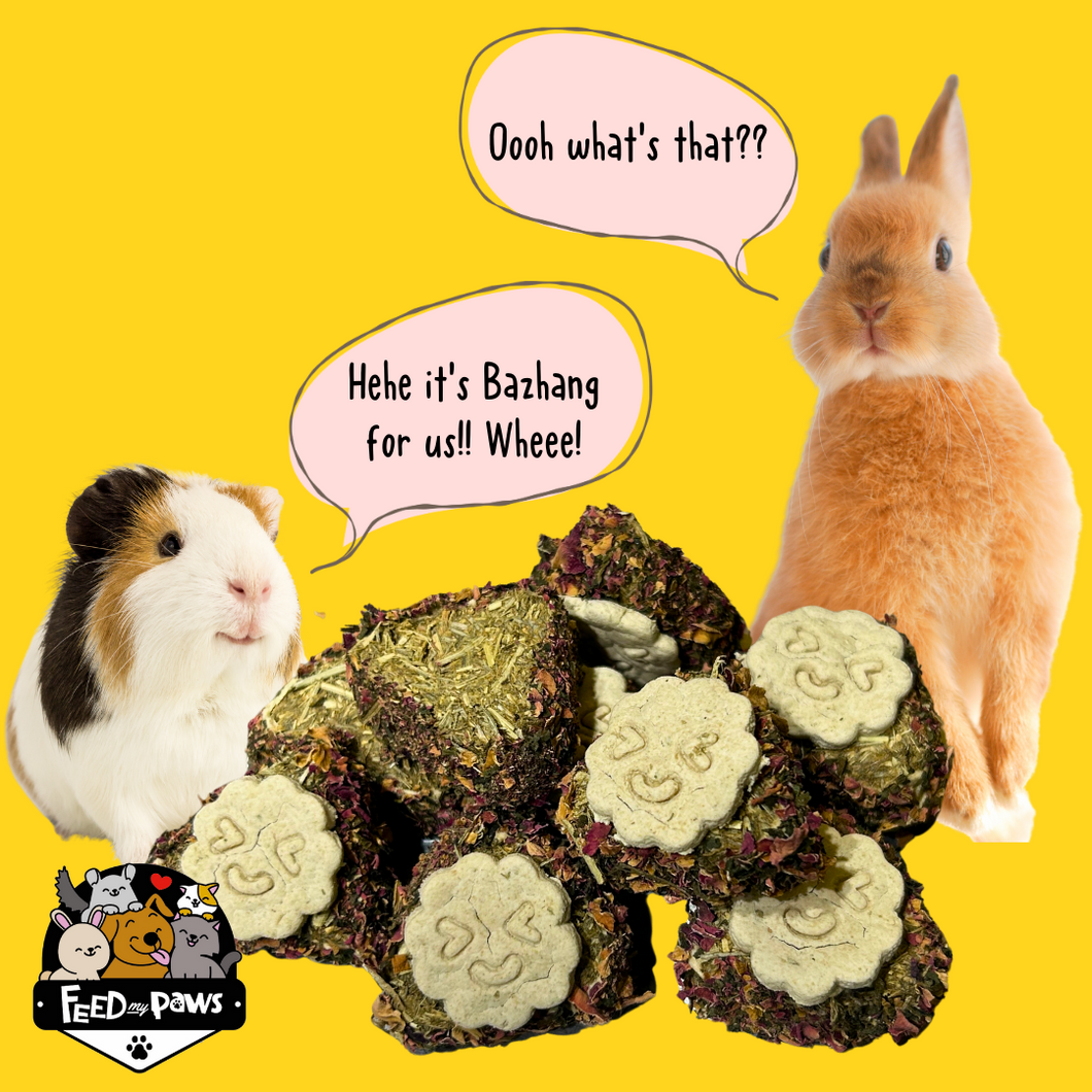 Mini Bazhang for Rabbits & Guinea Pigs!