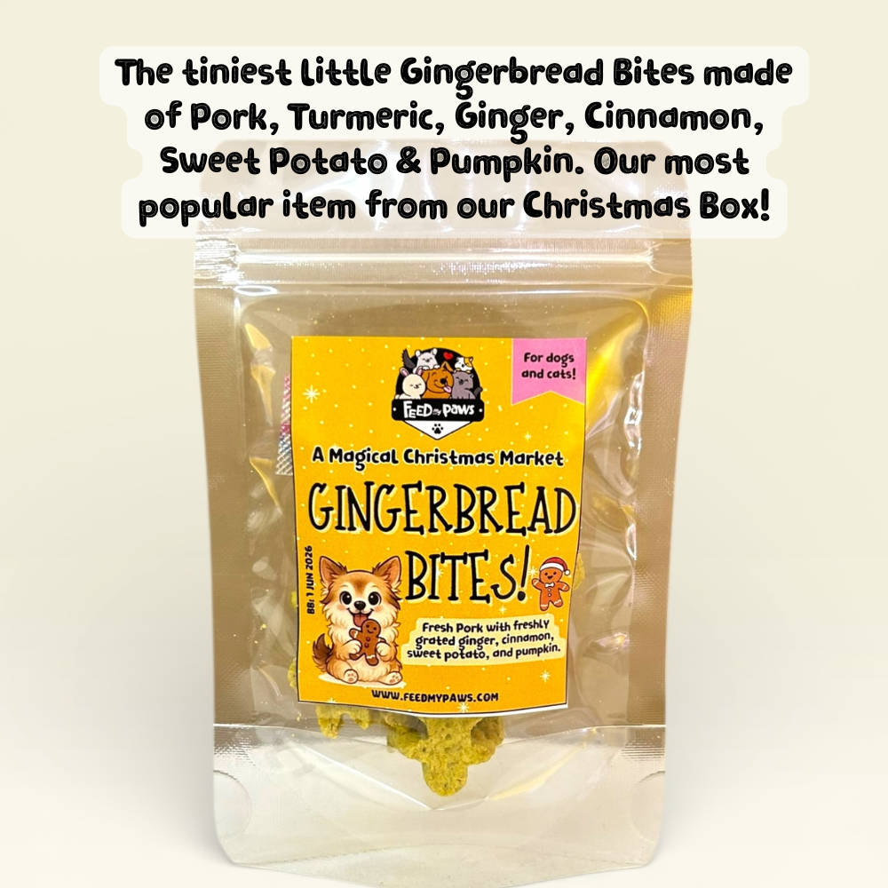 BOXING DAY SALE 2025 - Gingerbread Bites (tiny!)