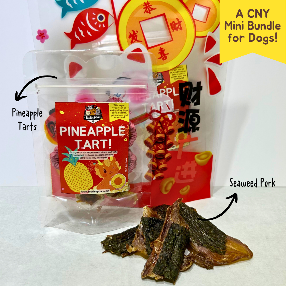 CNY 2024: Pineapple Tart & Seaweed Pork Bundle (for dogs)!