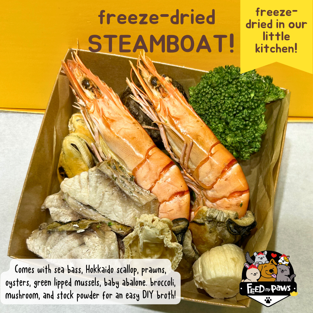 CNY 2024: Freeze-dried Steamboat (for dogs and cats!) (freeze-dried, can be shipped!)