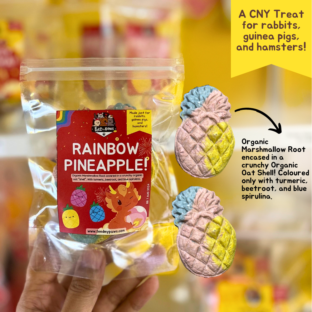 *NEW!* CNY 2024: Rainbow Pineapple for Small Animals (rabbits, guinea pigs, hamsters)