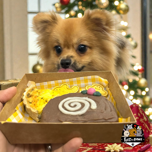 Christmas 2025: Christmas DINNER (for dogs and cats)