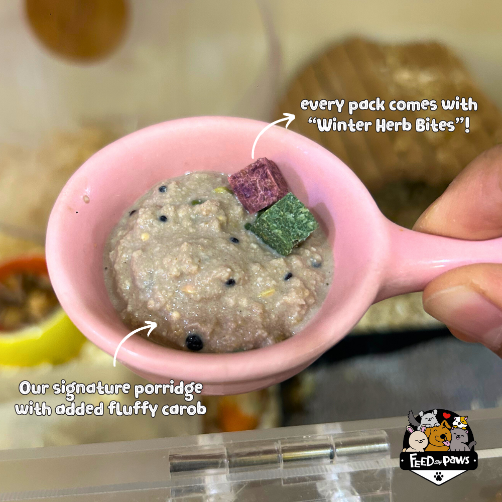 Christmas 2025: Christmas Porridge for Hamsters!