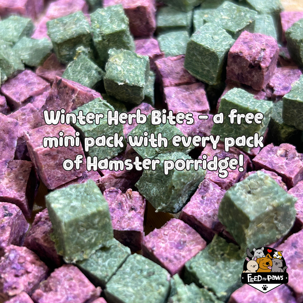 Christmas 2025: Christmas Porridge for Hamsters!