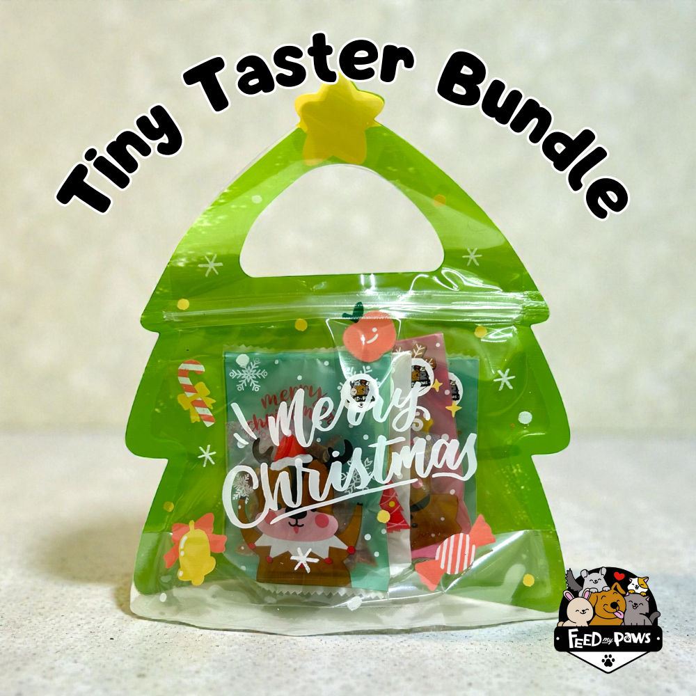 Christmas 2025: The Tiny Taster Bundle!