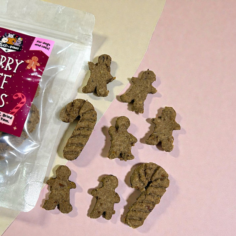 Christmas 2025: Merry Beef Bites! (for dogs and cats)