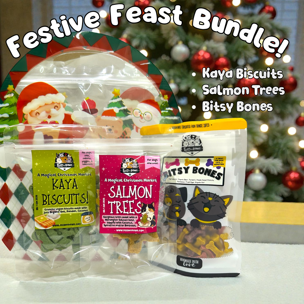 Christmas 2025: The Festive Feast Bundle!