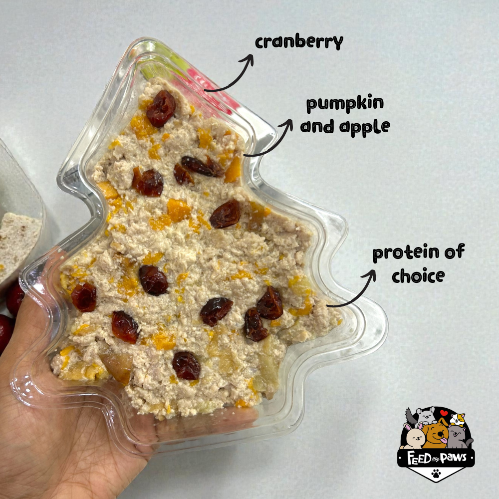 Christmas 2025: Tree Loaf for Dogs & Cats!