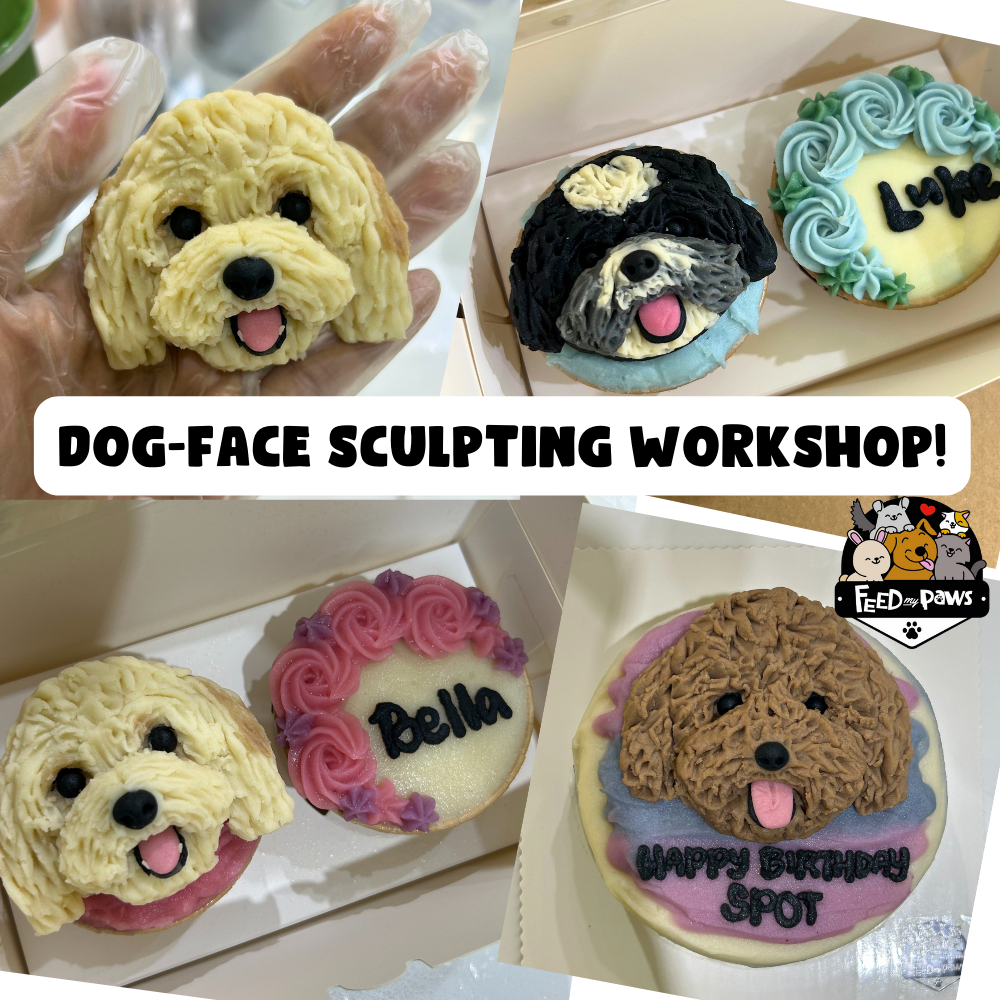 Custom Dog Face Sculpting Workshop (Beginners)