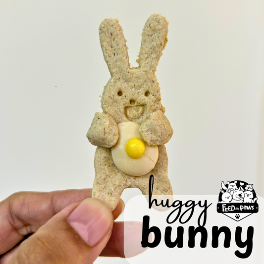 Easter Special: Huggy Bunny (Duck)