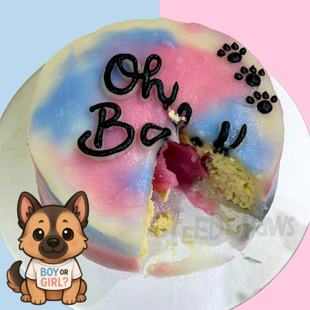 Gender Reveal Dog Cake