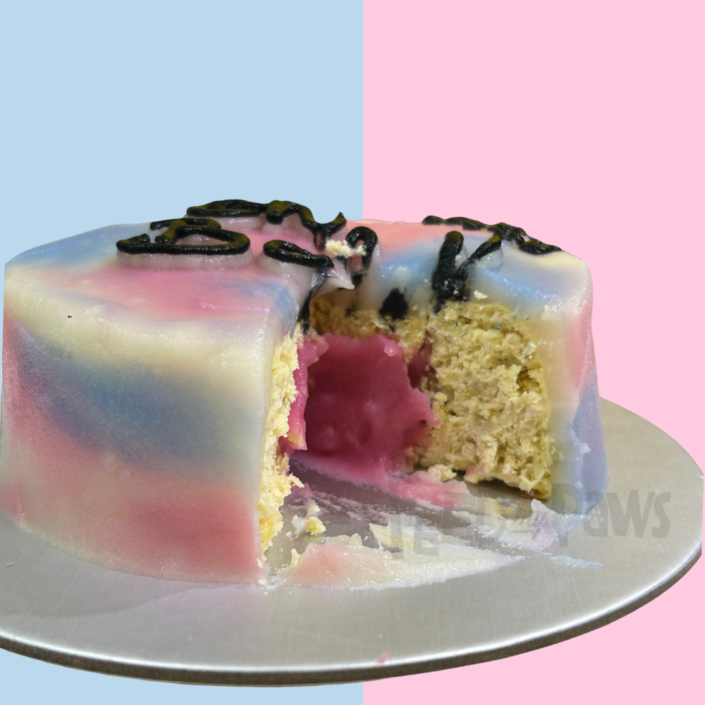 Gender Reveal Cat Cake