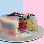 Gender Reveal Cat Cake