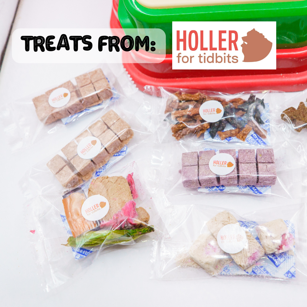 JINGLE CLAWS (free shipping!) — A Christmas Treat Claw Machine (Holler For Tidbits x Feed My Paws)