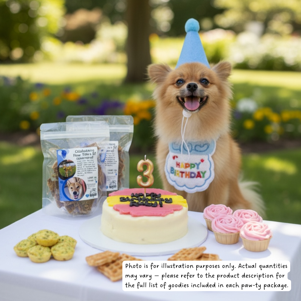Paw-fect Celebration Birthday Package