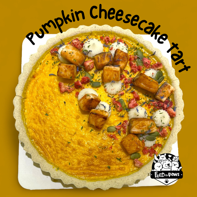 Pumpkin Cheesecake Tart for Dogs *limited edition!