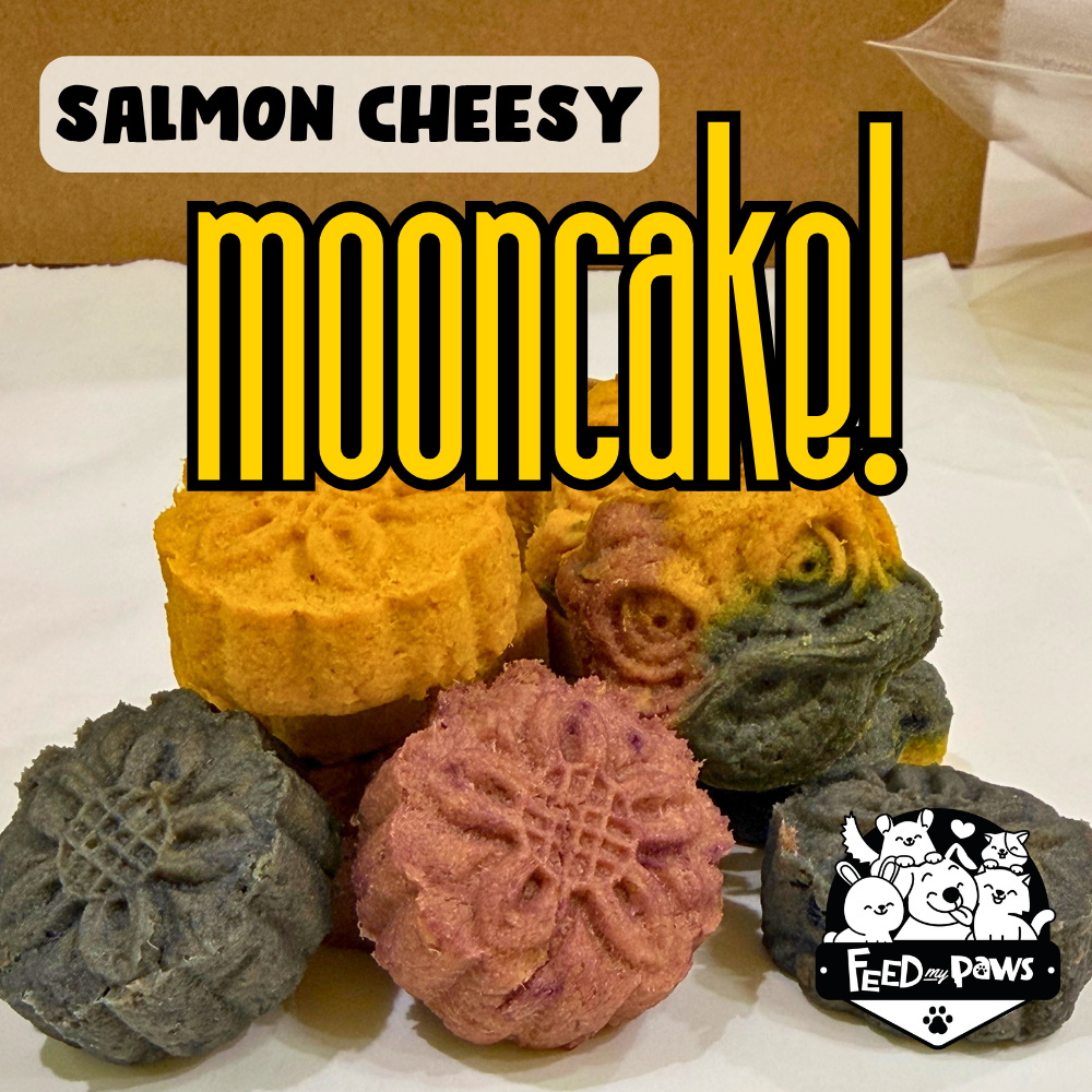 Salmon & Cheese Easy-to-chew Mooncake 2026 (dry treat for dogs & cats)