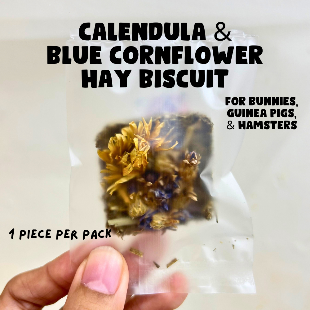 Grab it before it's gone: Calendula and Blue Cornflower Hay Biscuit