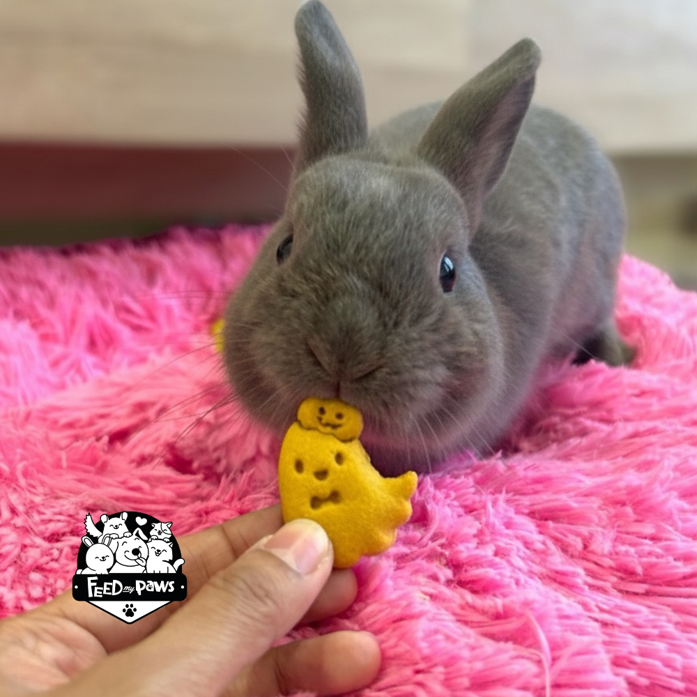 Ghostly Buddies - Vegan Cookies for Dogs, rabbits, guinea pigs, and hamsters!
