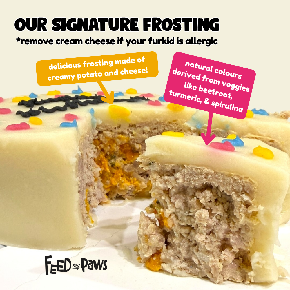 Bento Mini Birthday Cake for Dogs