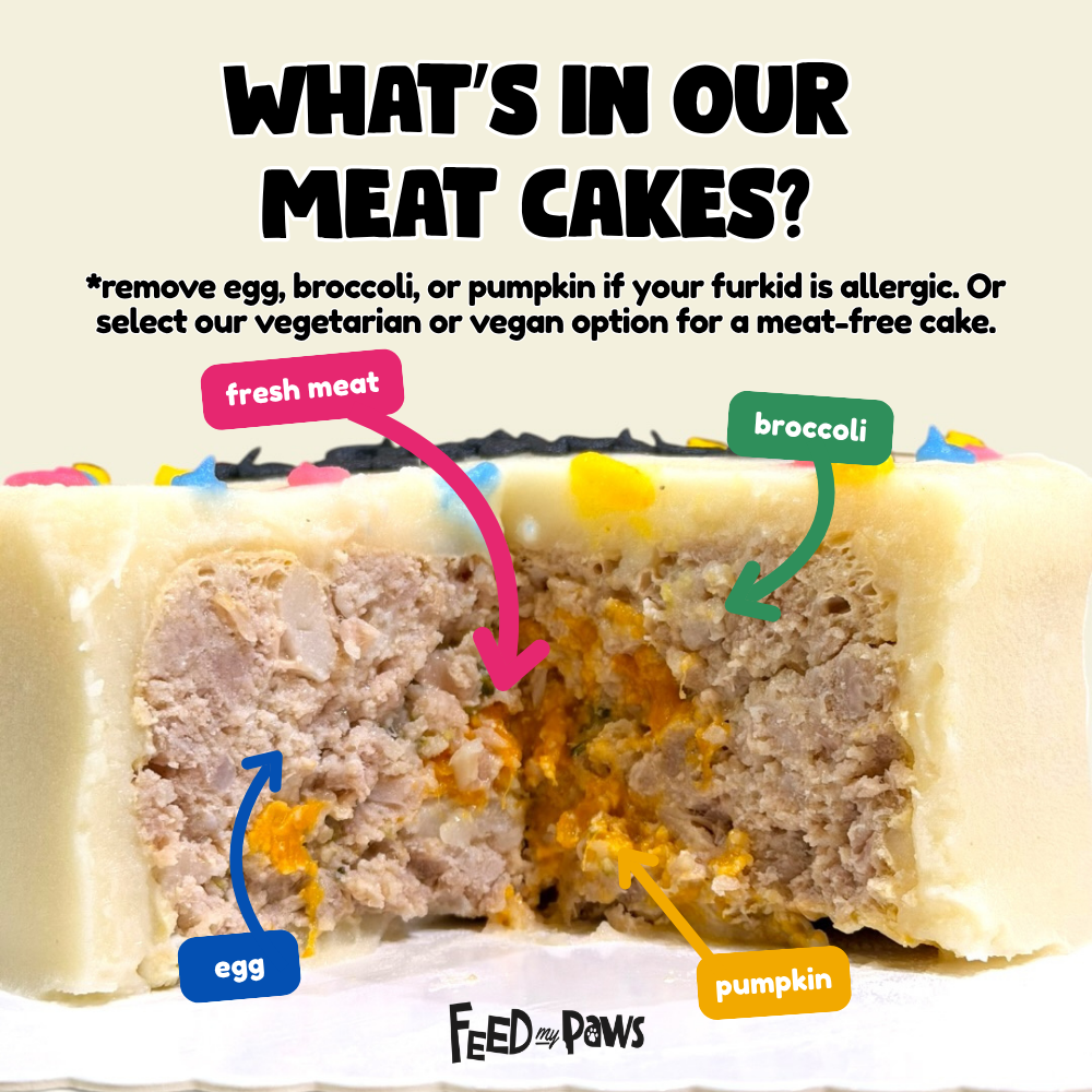 Bento Mini Birthday Cake for Dogs