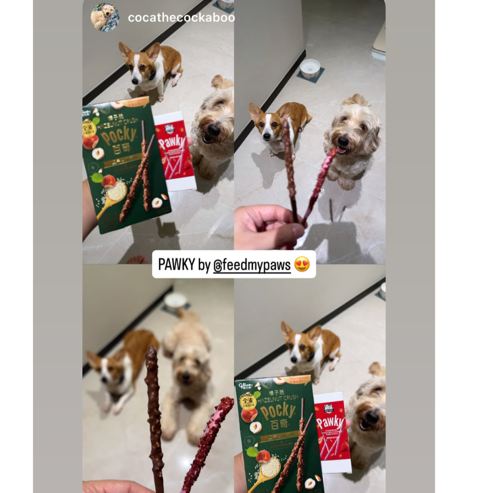 Strawberry Pawky (Dog, Cat)