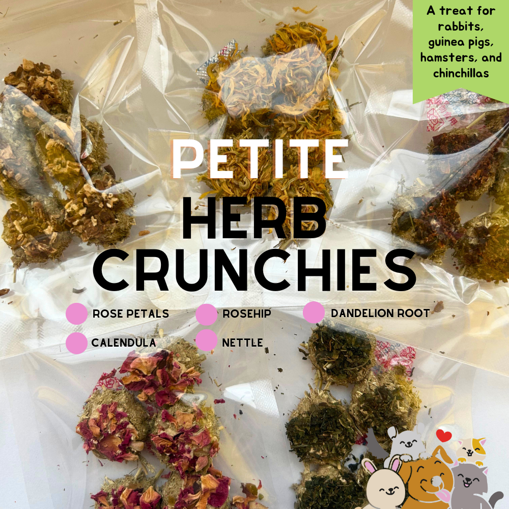 Oat Obsession Treats (hamsters, rabbits, guinea pigs, chinchillas ...