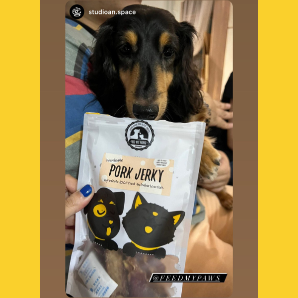 Pork Jerky (easy-to-digest!)