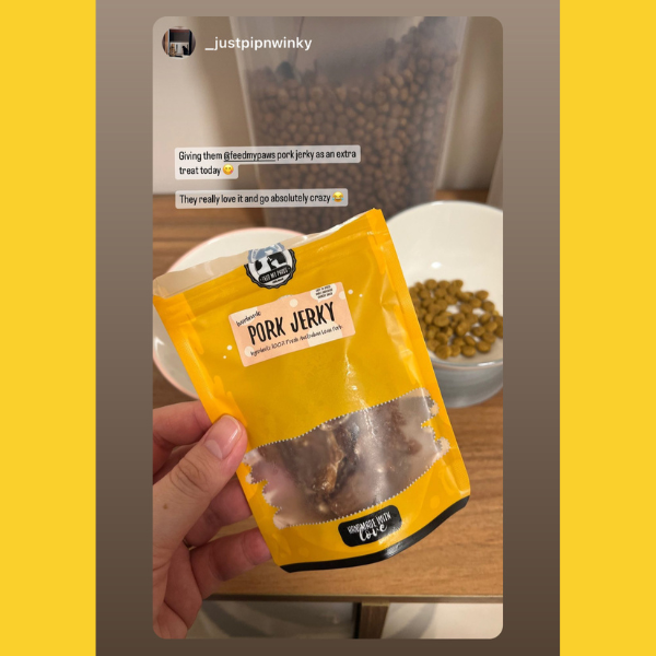 Pork Jerky (easy-to-digest!)