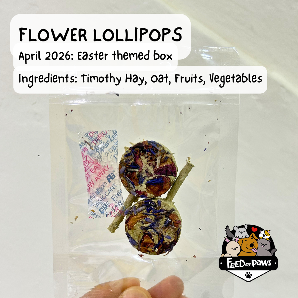 Flower Lollipops (Rabbit, Guinea Pig, Hamster)