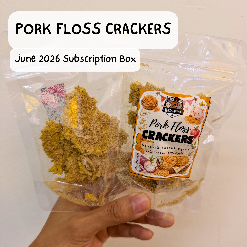 Pork Floss Crackers
