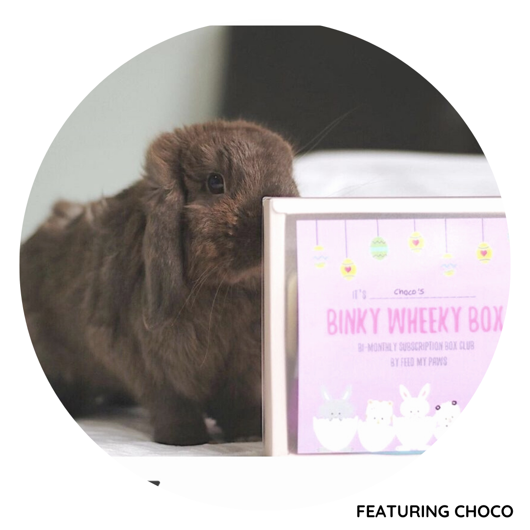 Feed My Paws Subscription Club: Subscription Box for Rabbits & Guinea Pigs! [with doorstep delivery]
