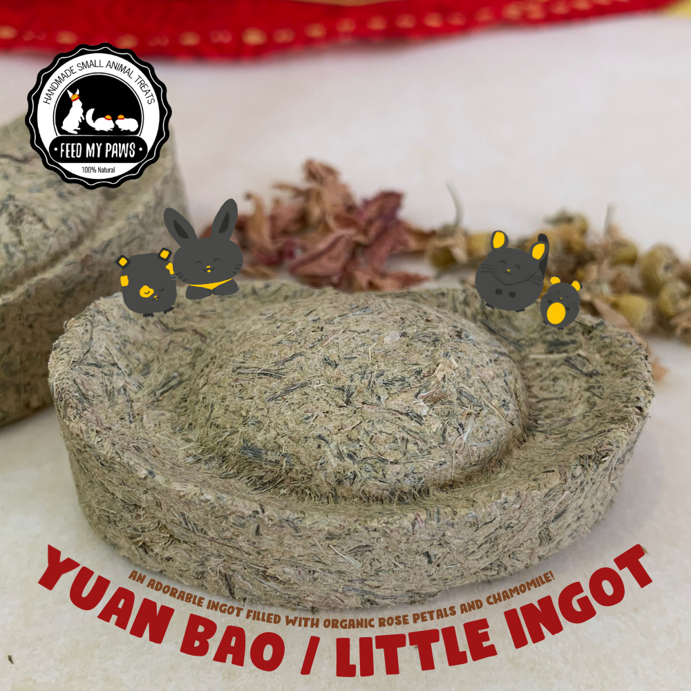 Ingots for Buns, Piggies, Chins, Hams! (Preorder, ready 29 Jan 2021 onwards)