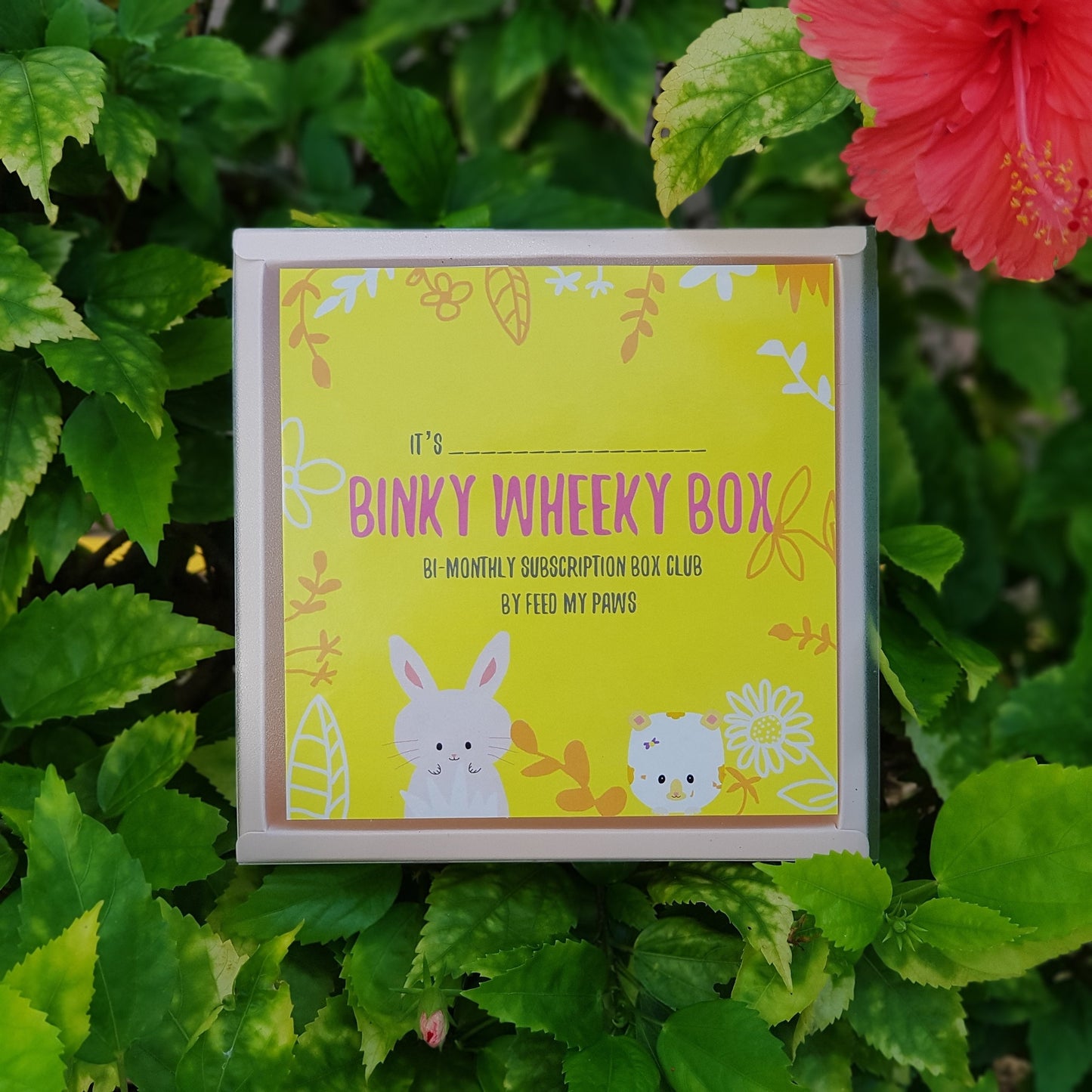 First Movers Box Bunny/Piggy/Hammy woot woot [with doorstep delivery]