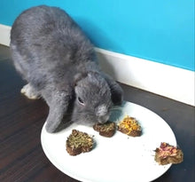 Load image into Gallery viewer, grey rabbit enjoying herb heart treats - made for for hamsters rabbits guinea pigs in singapore
