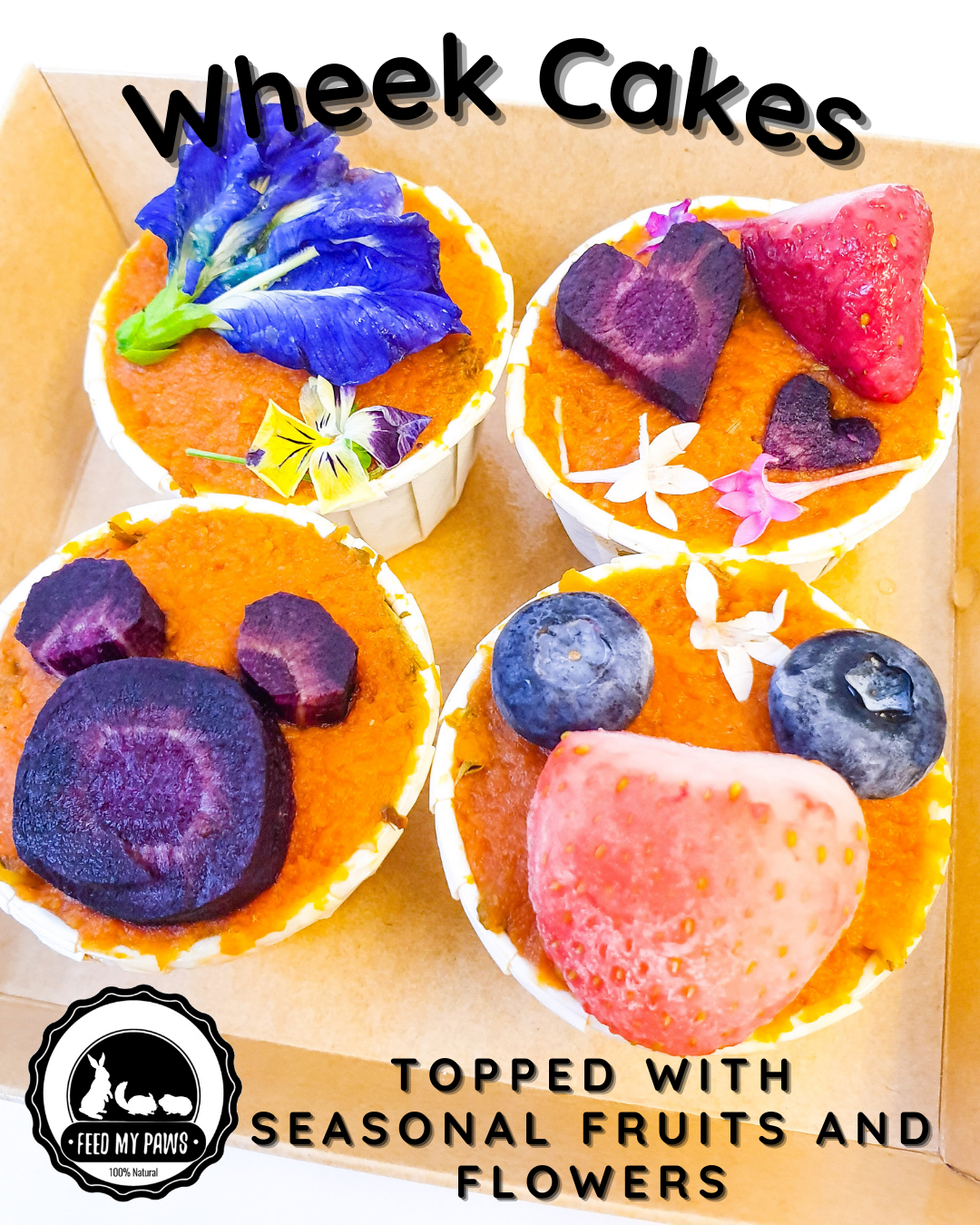narrow angle 1 of wheek birthday cake cupcake for guinea pigs in singapore