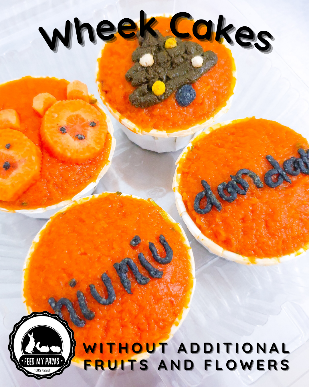 an orange view of wheek birthday cake cupcake for guinea pigs in singapore