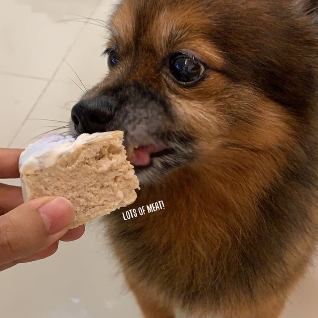 Feed My Paws Handmade Dog Birthday Cake Singapore Delivery Dog p