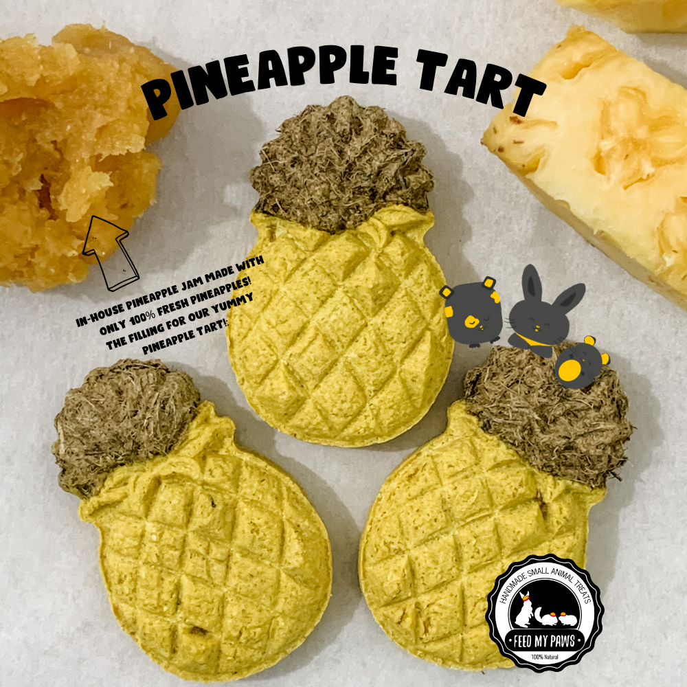 Pineapple Tart for Buns, Piggies, Hams! (Preorder, ready 29 Jan 2021 onwards)