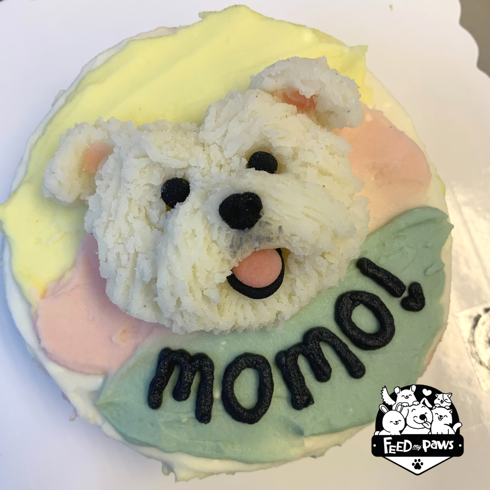 Dog hot sale cake delivery