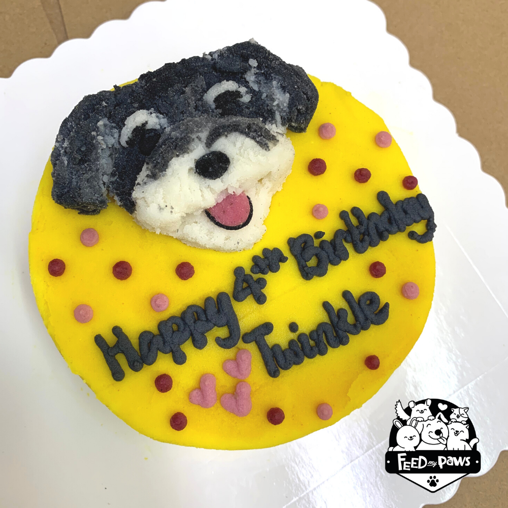 Feed My Paws SG | Dog Bakery Singapore | Handmade Cake for Dog, Puppy Singapore | Face | SG Delivery