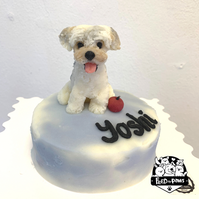Feed My Paws SG | Dog Bakery | Handmade Birthday Cake for Dog, Puppy | Figurine | Singapore Delivery