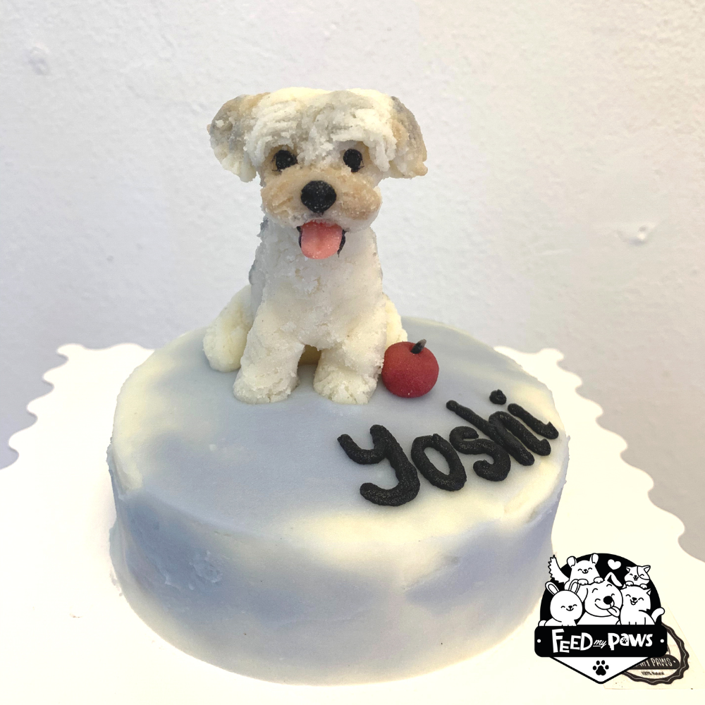 Feed My Paws Sg - Handmade Dog Birthday Cake - Dog Figurine - Singapore  Delivery - Since 2013 - Order Now