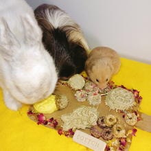 Load image into Gallery viewer, CNY 2022: Charcuterie Board for Rabbits, Guinea Pigs, and Hamsters

