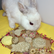 Load image into Gallery viewer, CNY 2022: Charcuterie Board for Rabbits, Guinea Pigs, and Hamsters
