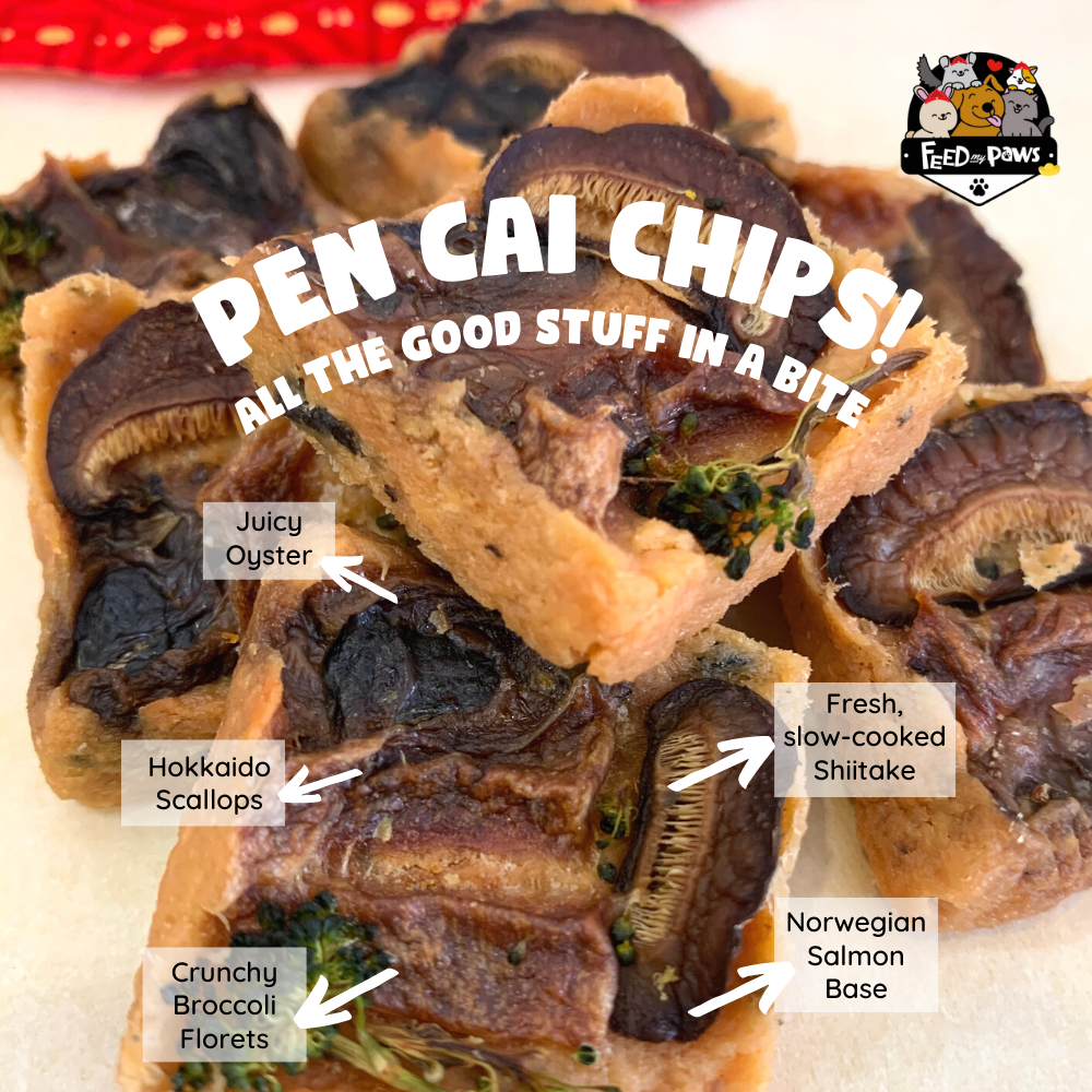 CNY 2022: Pen Cai Chips for dogs and cats