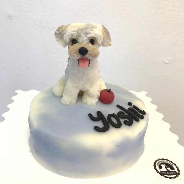 Dog Birthday Cake with Custom Figurine