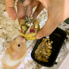 Load image into Gallery viewer, Mini Hamster Birthday Cake
