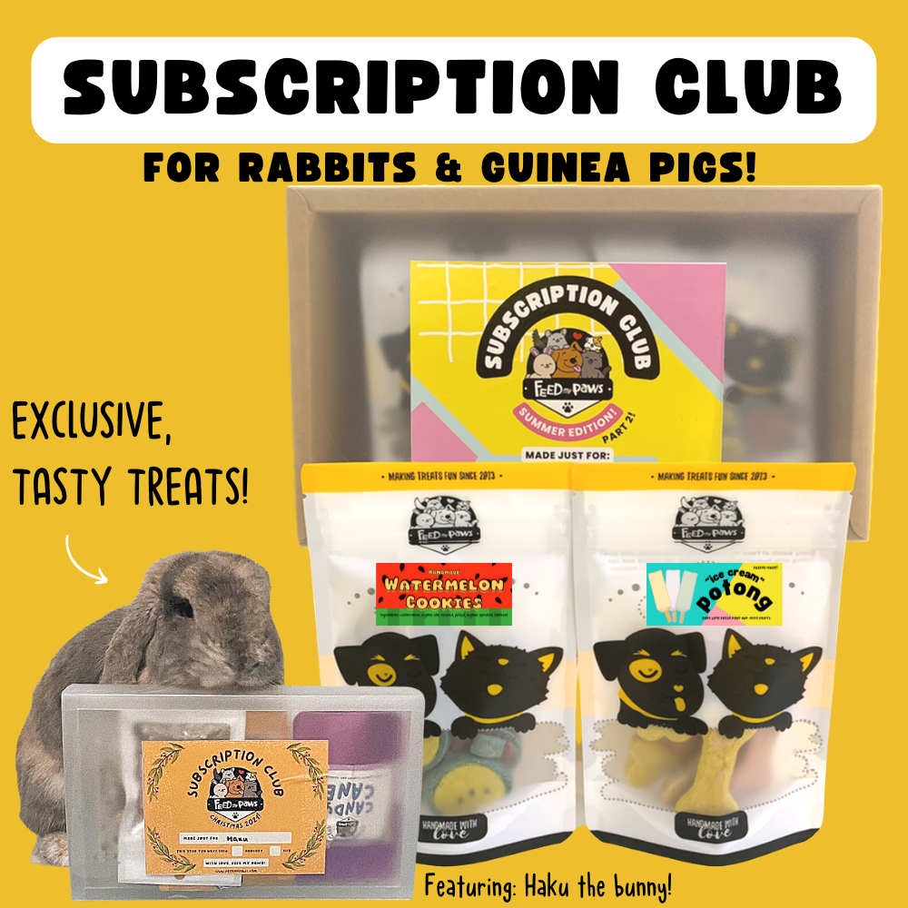 Feed My Paws Subscription Club: Subscription Box for Rabbits & Guinea Pigs! (Bi-monthly)