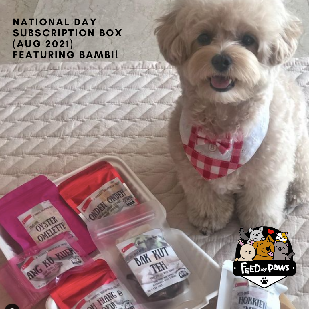 Feed My Paws Subscription Club: Subscription Box for Dogs & Cats! [with doorstep delivery]